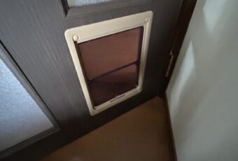 猫ちゃんの出入り口です